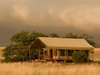Desert Rhino Camp - Tent
